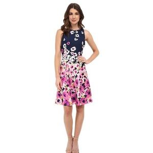 ADRIANNA PAPELL Blue Pink Multicolored Sleeveless Fit & Flare Dress Size 14